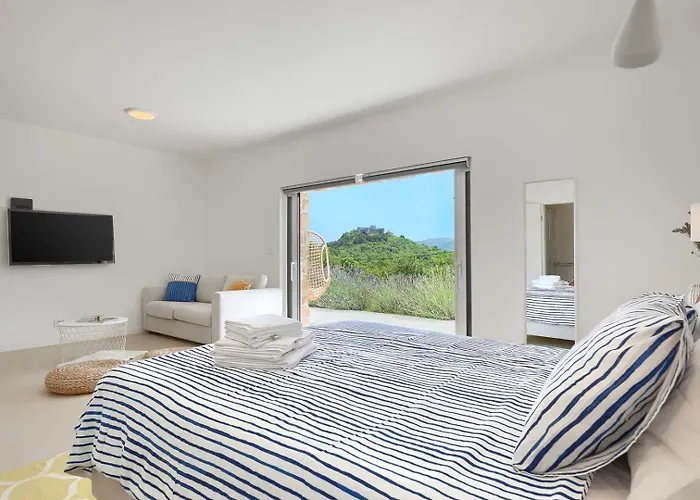 Senza Nome * Drivenik